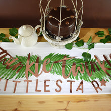 Load image into Gallery viewer, Twinkle Twinkle Gender Reveal Bundle