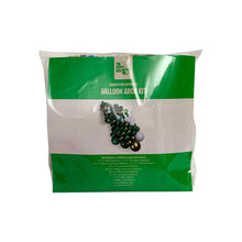 Load image into Gallery viewer, Balloon Arch Kit - Eucalyptus Waterfall