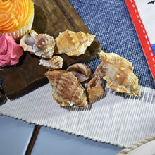 Load image into Gallery viewer, Nautical Pirate Bundle