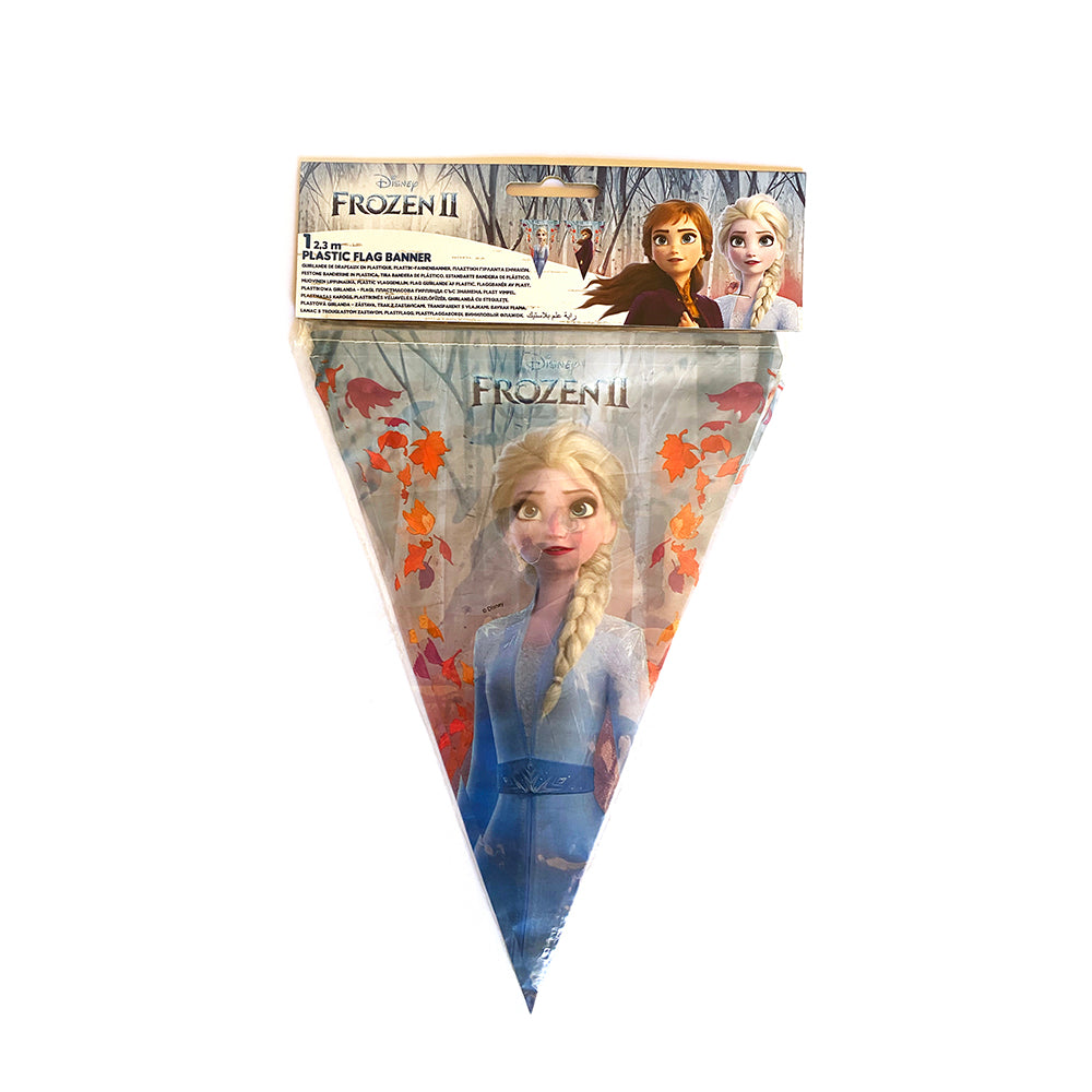 Frozen bunting/banner
