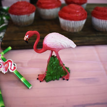Load image into Gallery viewer, Flamingo Flair Bundle
